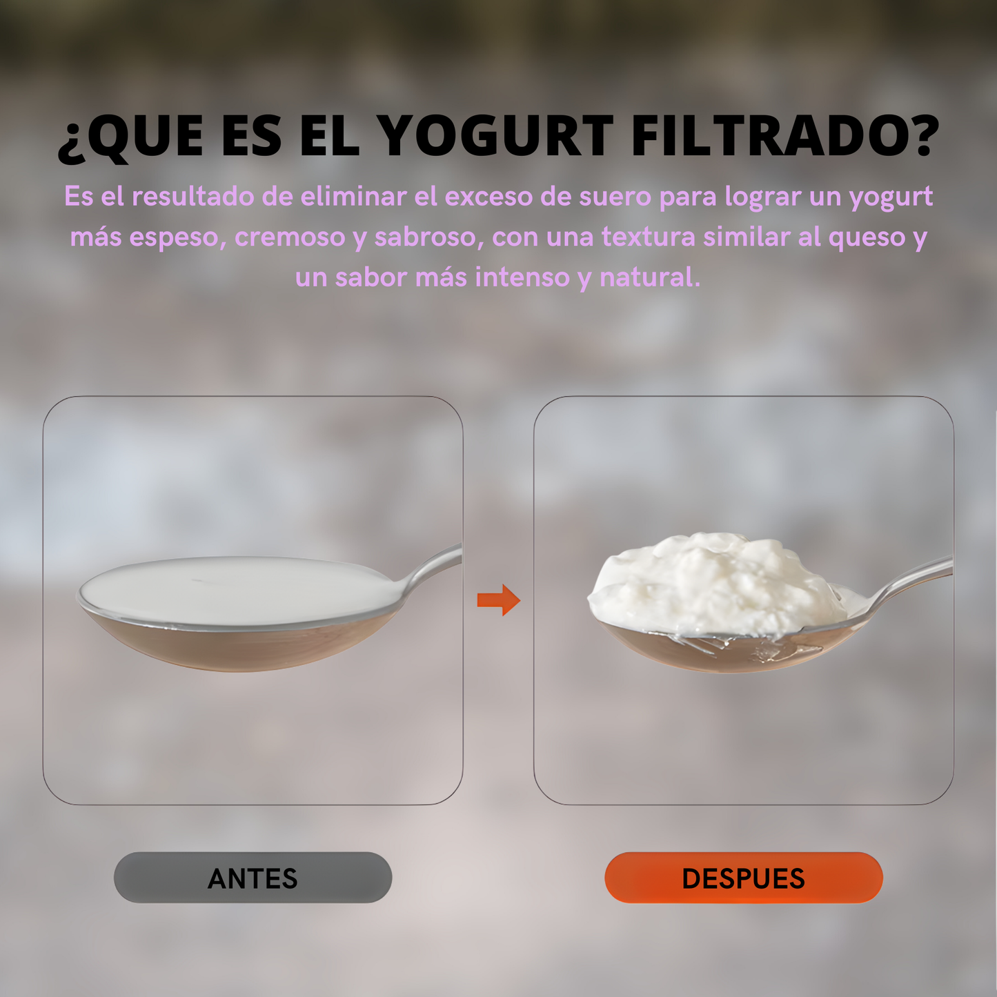 Filtro de Yogurt
